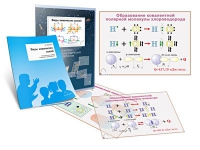 Комплект транспарантов «Виды химических связей» - «globural.ru» - Саратов