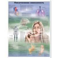 Плакат "Никотиновая зависимость", ламинированный, 50*67 см - «globural.ru» - Саратов