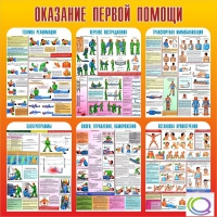 Стенд "Оказание первой помощи" - «globural.ru» - Саратов