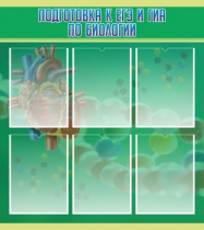 Стенд "Подготовка к ЕГЭ и ОГЭ по биологии" (вариант 1) - «globural.ru» - Саратов