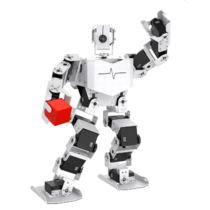 Базовый робототехнический набор  "Техник" для изучения систем управления робототехническими комплексами и андроидными роботами "Сережа ИН Про". Полный комплект на Raspbery Pi - «globural.ru» - Саратов