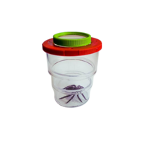 Коробка для изучения насекомых с лупой (вариант 2) - «globural.ru» - Саратов