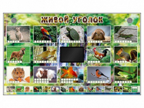 Комплект оборудования "Живой уголок" (животные) - «globural.ru» - Саратов