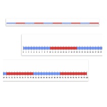 Нумирошка. Числовая прямая 0-100 по методике Нумикон - «globural.ru» - Саратов