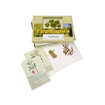 Гербарий "Для начальной школы" (30 видов, с иллюстрациями) - «globural.ru» - Саратов