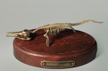 Модель скелета ихтиозавра Ichthyosaurus - «globural.ru» - Саратов