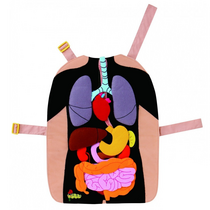 Фланелеграф-фартук "Анатомия" - «globural.ru» - Саратов