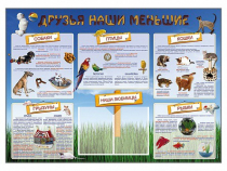 Стенд-уголок "Друзья наши меньшие" - «globural.ru» - Саратов