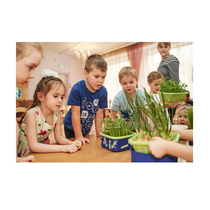 Обучающий комплект экологической направленности "Сити-фермер 2.0 Детский сад" 10 человек - «globural.ru» - Саратов