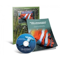 Электронное наглядное пособие «Рыбы. Земноводные. Пресмыкающиеся» - «globural.ru» - Саратов