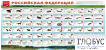 Стенд "Красная книга РФ" - «globural.ru» - Саратов