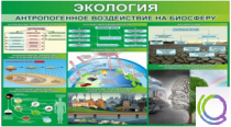 Стенд "Экология. Антропогенное воздействие на биосферу" - «globural.ru» - Саратов