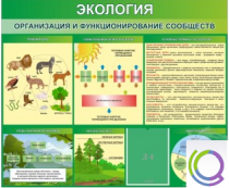 Стенд "Экология. Организация и функционирование сообществ" - «globural.ru» - Саратов