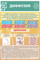 Стенд "Диффузия" - «globural.ru» - Саратов