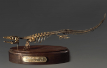 Модель скелета мозазавра Mosasaurus - «globural.ru» - Саратов