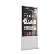Интерактивный сенсорный киоск Nova 55" - «globural.ru» - Саратов