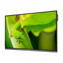 Интерактивный программно-аппаратный комплекс Geckotouch Interactive IP75GT-C в комплекте с настенным креплением - «globural.ru» - Саратов