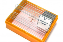 Набор микропрепаратов N10 - «globural.ru» - Саратов