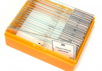 Набор микропрепаратов N20 - «globural.ru» - Саратов