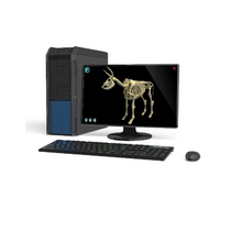 Макет масштабный «Скелет Коровы» Масштаб 1:2 - «globural.ru» - Саратов