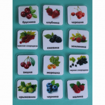 Набор карточек "Ягоды" - «globural.ru» - Саратов