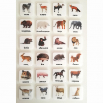 Набор карточек "ЖИВОТНЫЕ" - «globural.ru» - Саратов