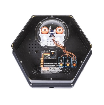 Модуль интерактивный с искусственным интеллектом "Наблюдатель" - «globural.ru» - Саратов