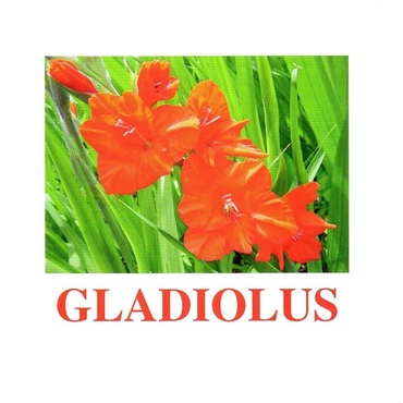 "Flowers-1" ("Цветы-1") английские карточки Домана - «globural.ru» - Саратов