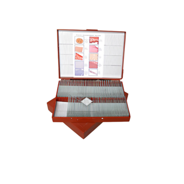 Комплект микропрепаратов "Анатомия" - «globural.ru» - Саратов