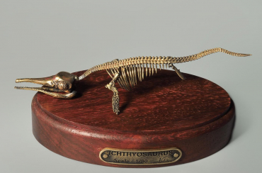 Модель скелета ихтиозавра Ichthyosaurus - «globural.ru» - Саратов
