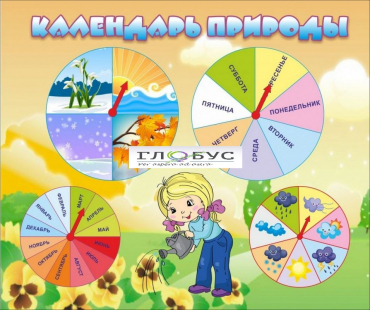 Стенд "Календарь природы" (вариант 1) - «globural.ru» - Саратов