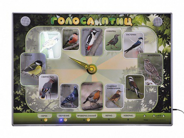 Электрифицированный стенд-часы "Голоса птиц" с комплектом дидактического материала - «globural.ru» - Саратов