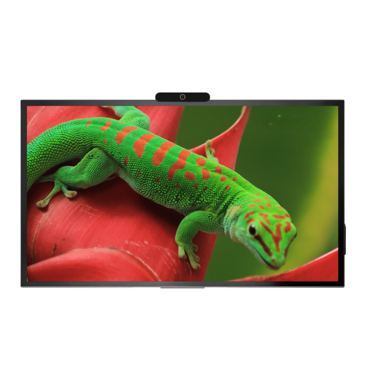 Интерактивная панель Geckotouch Interactive 65R - «globural.ru» - Саратов