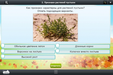 Интерактивные курсы. Окружающий мир 3 класс. Базовый - «globural.ru» - Саратов
