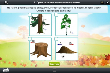 Интерактивные курсы. Окружающий мир 1 класс. Базовый - «globural.ru» - Саратов