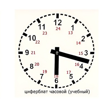 Часовой циферблат раздаточный - «globural.ru» - Саратов