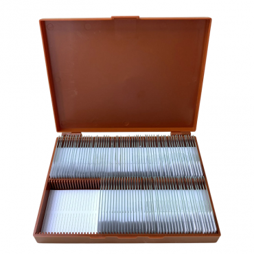 Комплект микропрепаратов по анатомии, ботанике, зоологии, общей биологии - «globural.ru» - Саратов