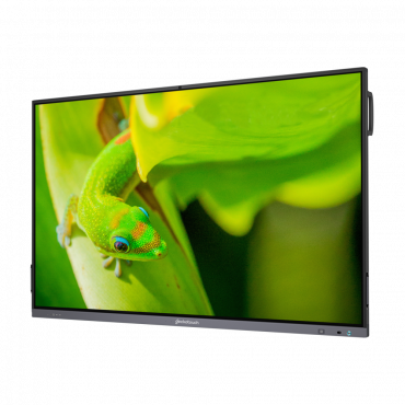 Интерактивный программно-аппаратный комплекс Geckotouch Interactive IP65GT-C в комплекте с настенным креплением - «globural.ru» - Саратов